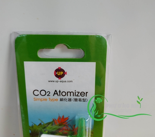 Sủi co2Sủi - D531